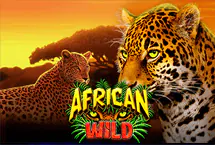 African Wild